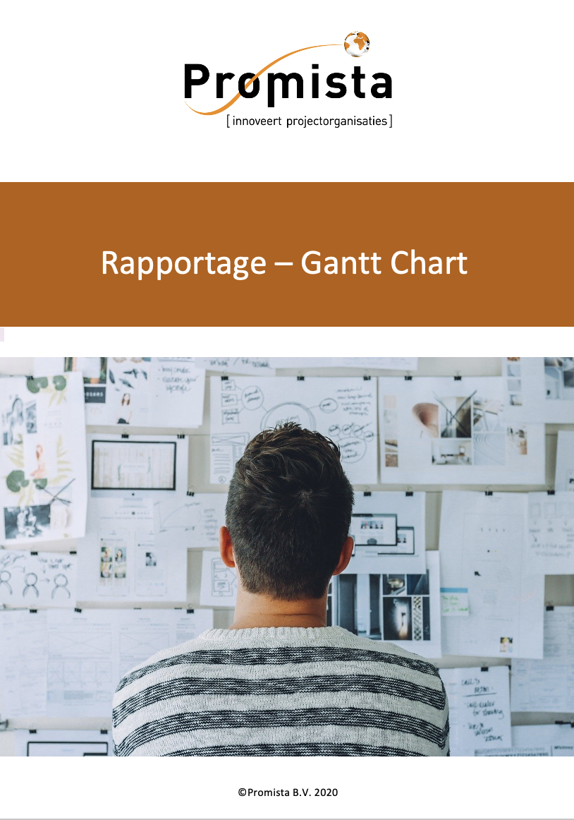 Plaatje Rapportage_Gantt_Chart